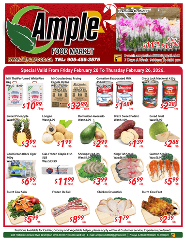 Brampton weekly flyer